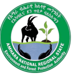 Amhara Enviromental and Forest Protection Authority