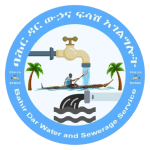 Bahir Dar City Water and Sewerage Service